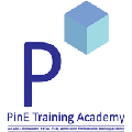 pine training academy of vlsi embedded