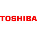 toshiba transmission distribution systems india private limited