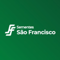 sementes sao francisco