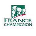 france champignon
