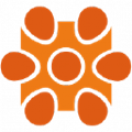 caprus it private limited