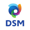dsm shared services india private limited