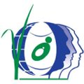 dhan foundation