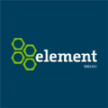 element fleet management mexico