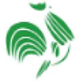 shorouk for modern printing packaging