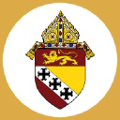 the diocese of charleston