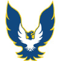 phoenix protective corp