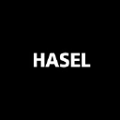 hasel grup