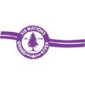 six nations of the grand river