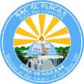 bahir dar institute of technology bahir dar university