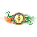 all india institute of medical sciences patna