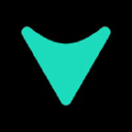 vialto partners