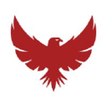 acuity international