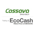 ecocash holdings