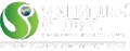 signature global