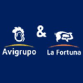 avigrupo la fortuna
