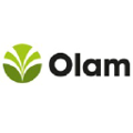 olam palm rubber gabon