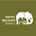 kenya wildlife service kws