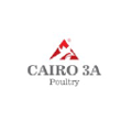 cairo 3a group