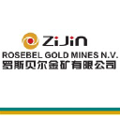 rosebel gold mines nv