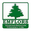 emflors empreendimentos florestais ltda