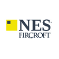 nes advantage solutions
