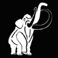 mammut world group