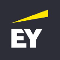 ey in pakistan