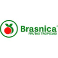 brasnica frutas tropicais