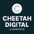 cheetah digital
