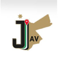 jordan aviation jav