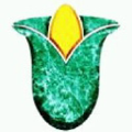 lotus group