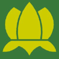 lotus trading contracting company