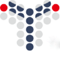 shanghai junshi biosciences co ltd