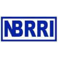Nigerian Building and Road Research Institute (NBRRI) Logo