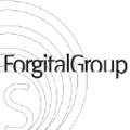 forgital group