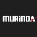 pt murinda iron steel