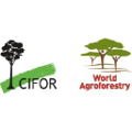 cifor icraf