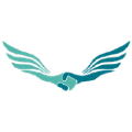 allied marketing pvt ltd