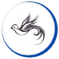 sparrow softech pvt ltd