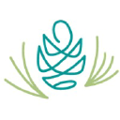frontier dermatology