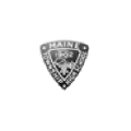 maine township high school district 207