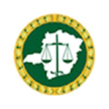 defensoria publica do estado de minas gerais