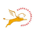 barokah perkasa group